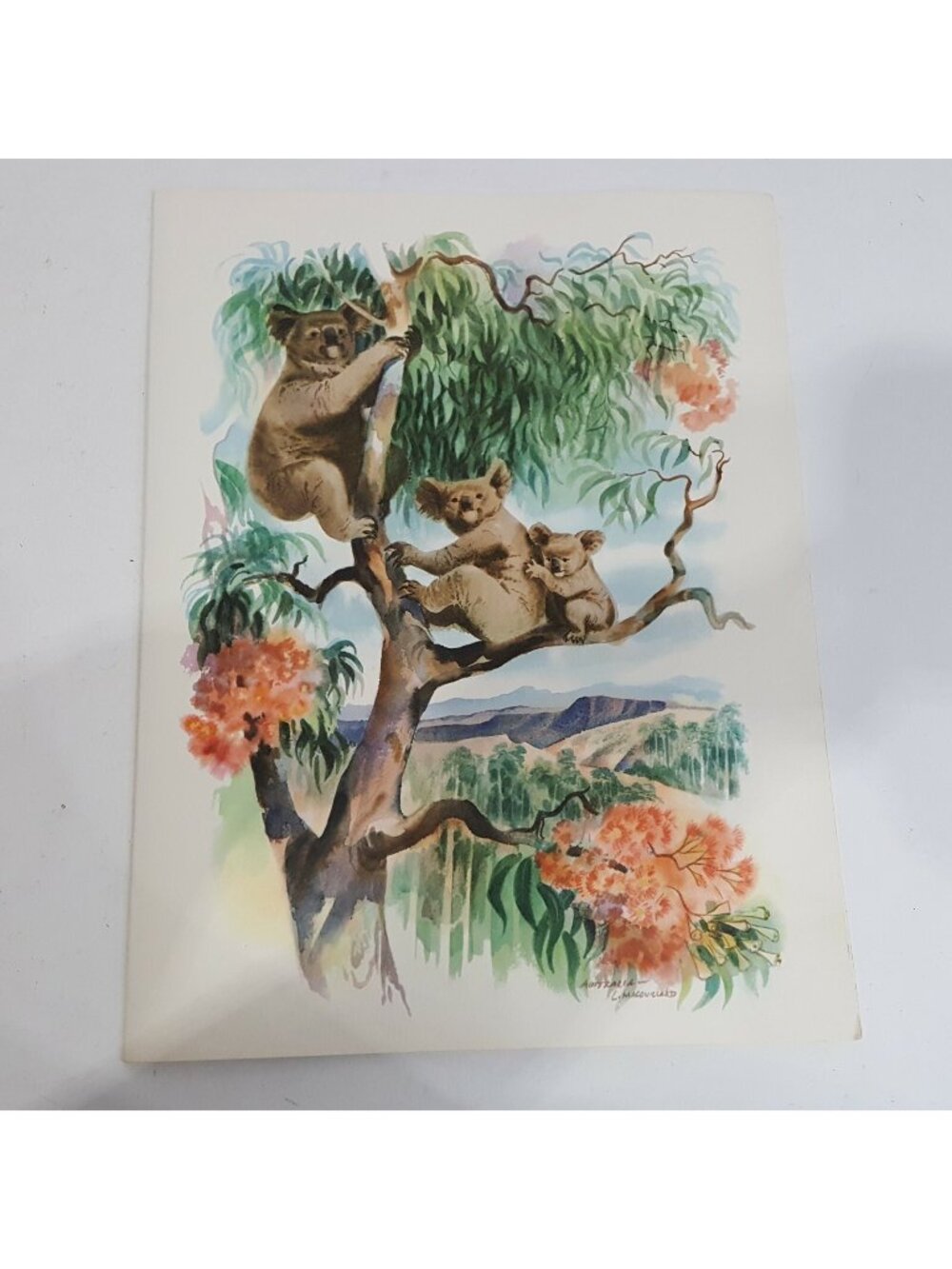 Vtg Australia Art Tiki Decor Island Macouillard Matson Lines Menu 1966 Unframed